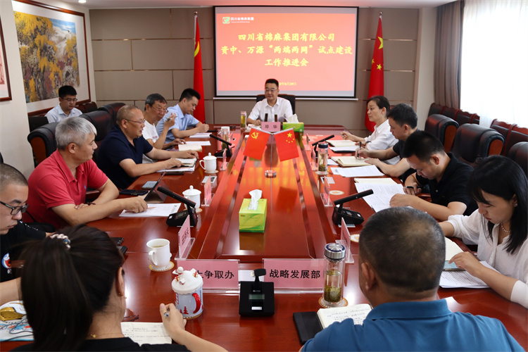 鄧華主持召開資中、萬源“兩端兩網(wǎng)”試點建設(shè)工作推進會