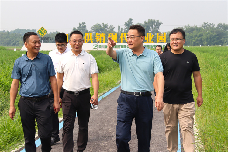 鄧華帶隊到四川供銷糧油青白江種植基地、好世紀倉儲龍泉庫調(diào)研