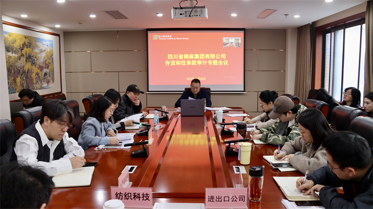 集團(tuán)公司召開(kāi)存貨和往來(lái)款審計(jì)專題會(huì)