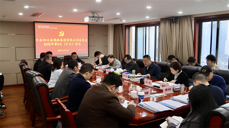 集團(tuán)公司召開(kāi)2025年第2次黨委（擴(kuò)大）會(huì)議