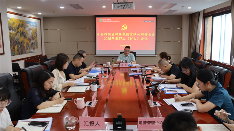 集團(tuán)公司召開2025年第27次黨委（擴(kuò)大）會議