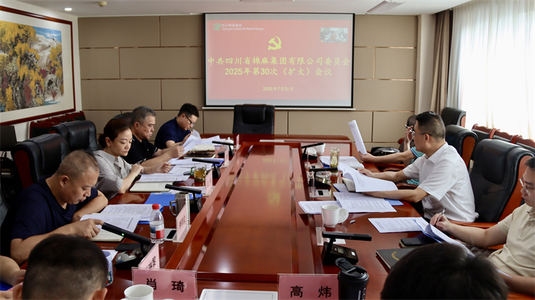 集團(tuán)公司召開2025年第30次黨委（擴(kuò)大）會議