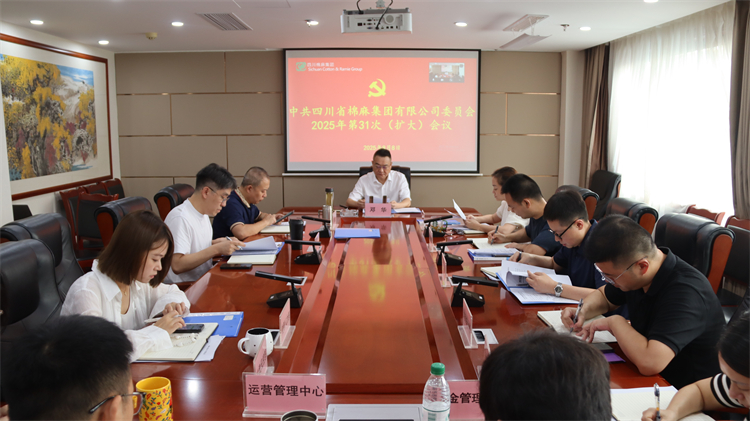 集團(tuán)公司召開2025年第31次黨委（擴(kuò)大）會議