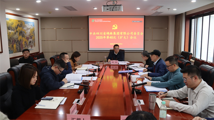 集團(tuán)公司召開2025年第40次黨委（擴(kuò)大）會議