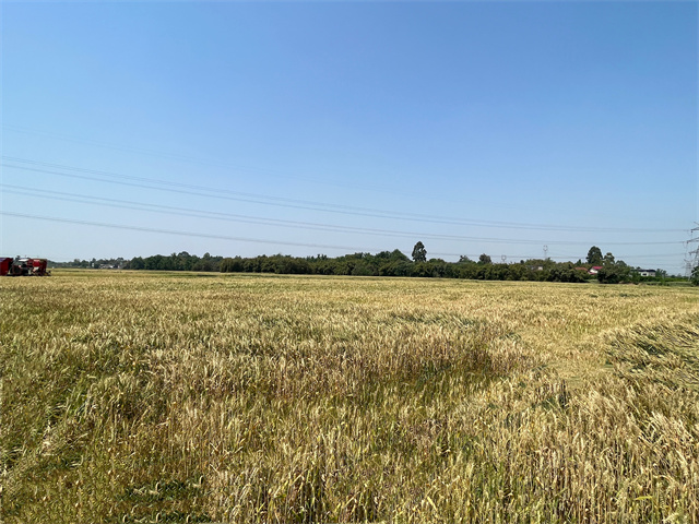 1650867989437008.jpg 164ad118491b3d0e5ffb50e4a8a538b.jpg