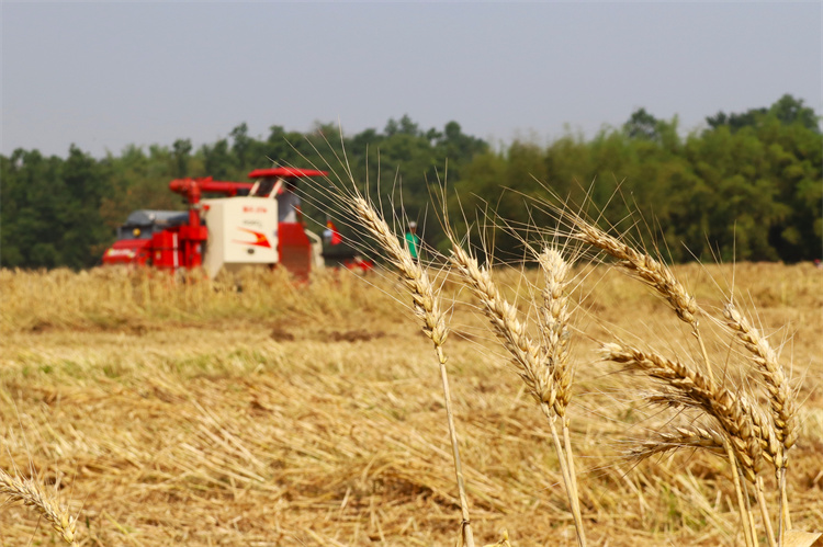 1652262380847455.jpg c39984f082de547666b614238d2884d.jpg