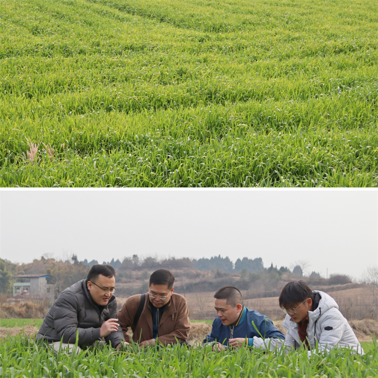 1675937772844668.png 圖片2.png